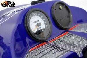 Moto de nieve trail touring 2009