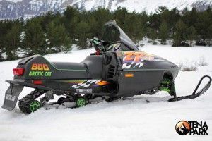Moto de nieve Articat 800